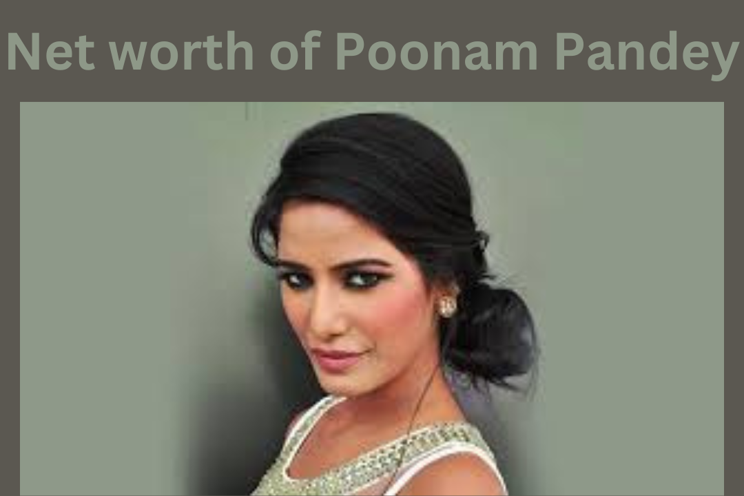 poonam pandey net worth