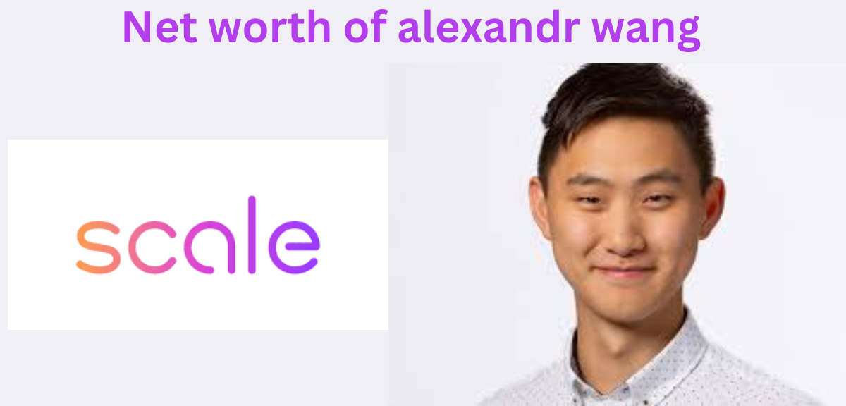 alexandr wang net worth