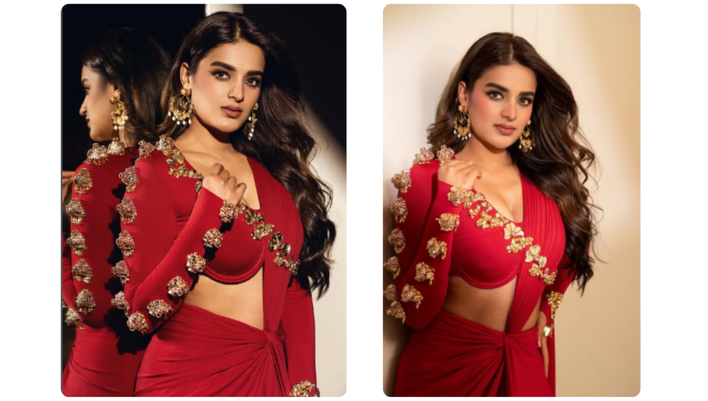 nidhhi agerwal net worth