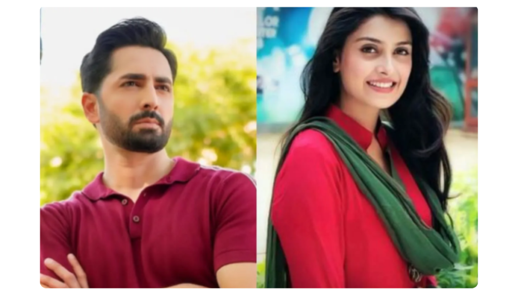 danish taimoor net worth 2026