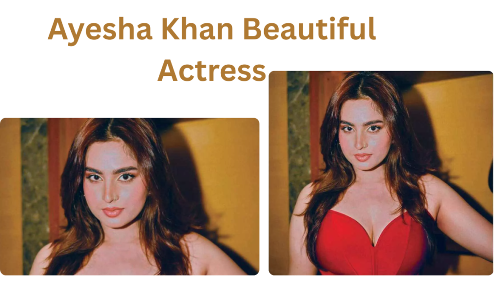 ayesha khan net worth in rupees