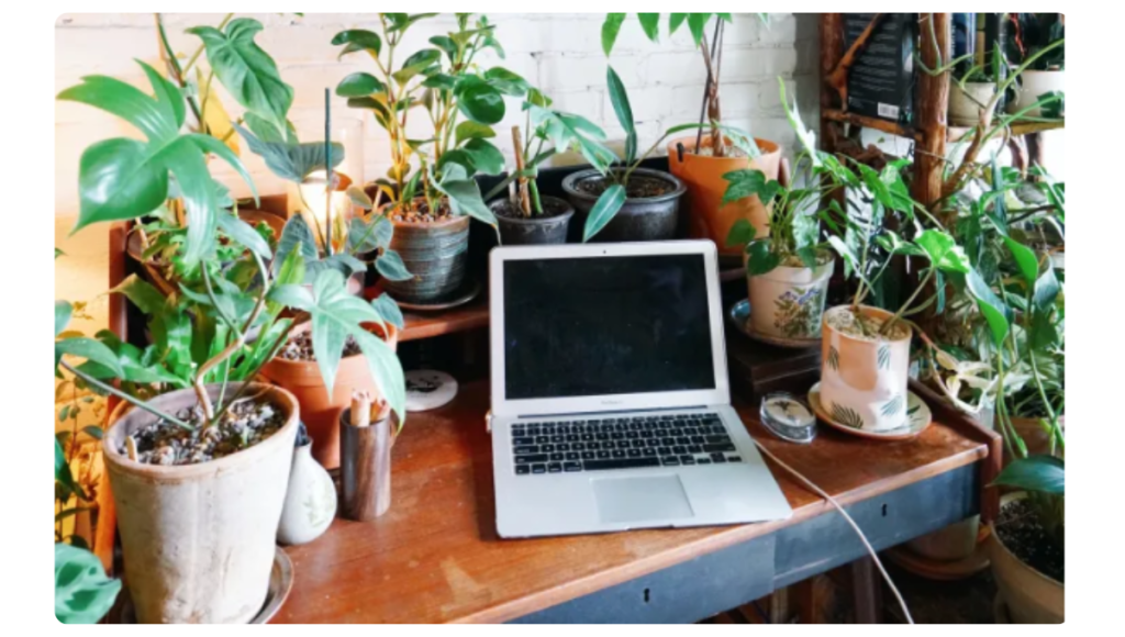 How to prepare for WFH jobs