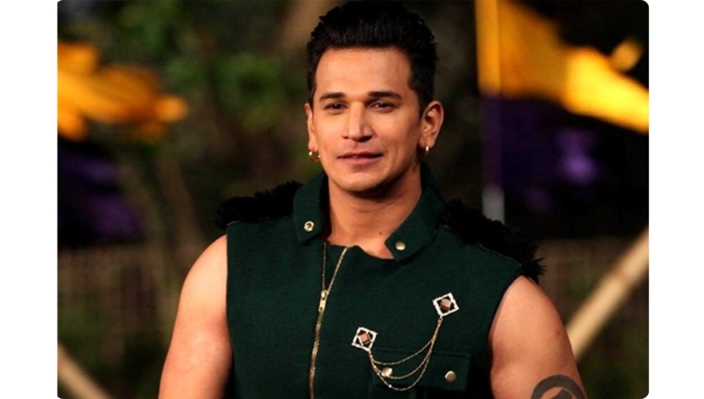 Prince Narula Net Worth